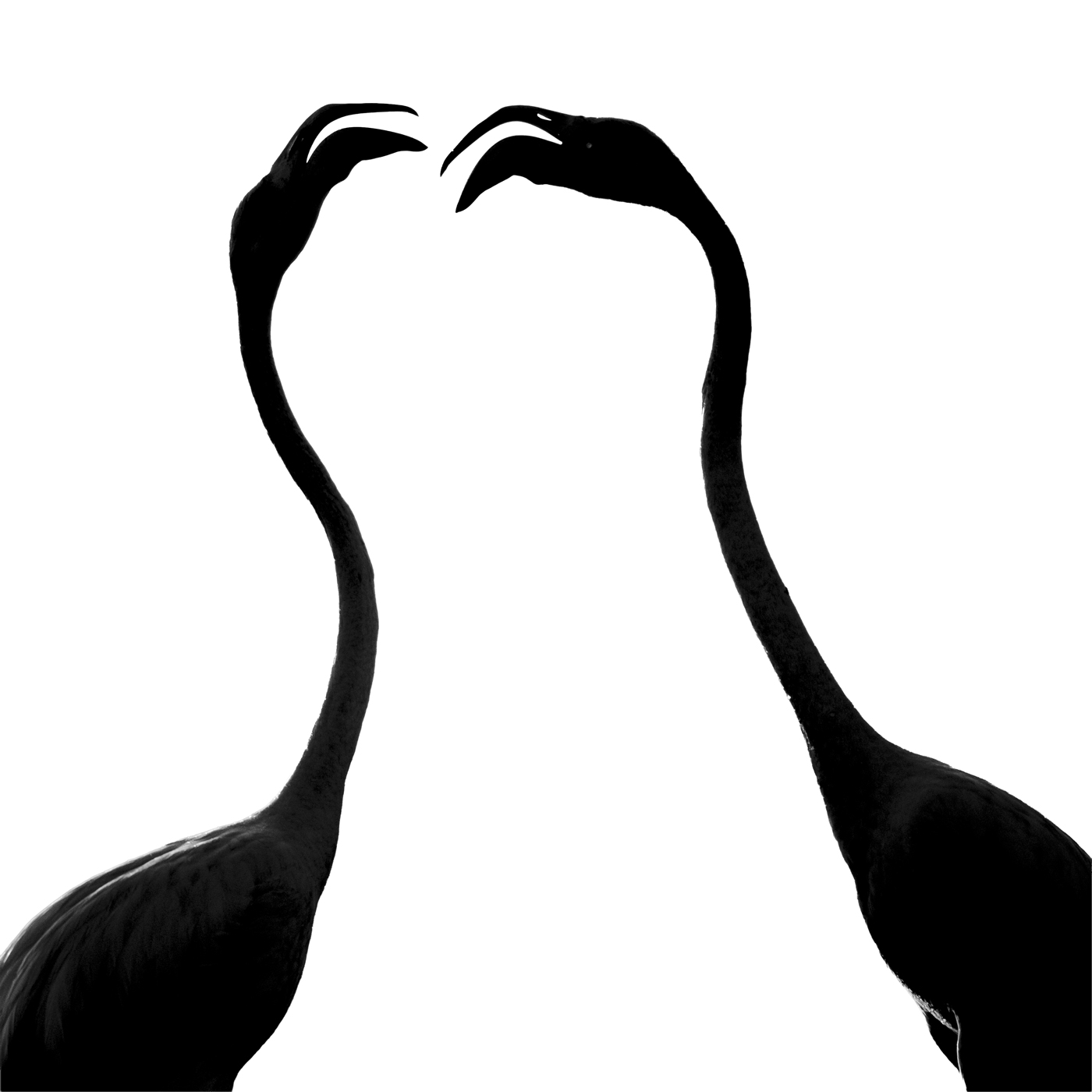Black Ink Portfolio by Khaldoon Aldway