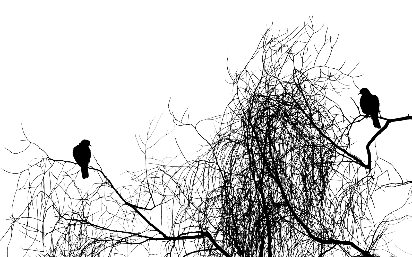 Black Ink Portfolio by Khaldoon Aldway