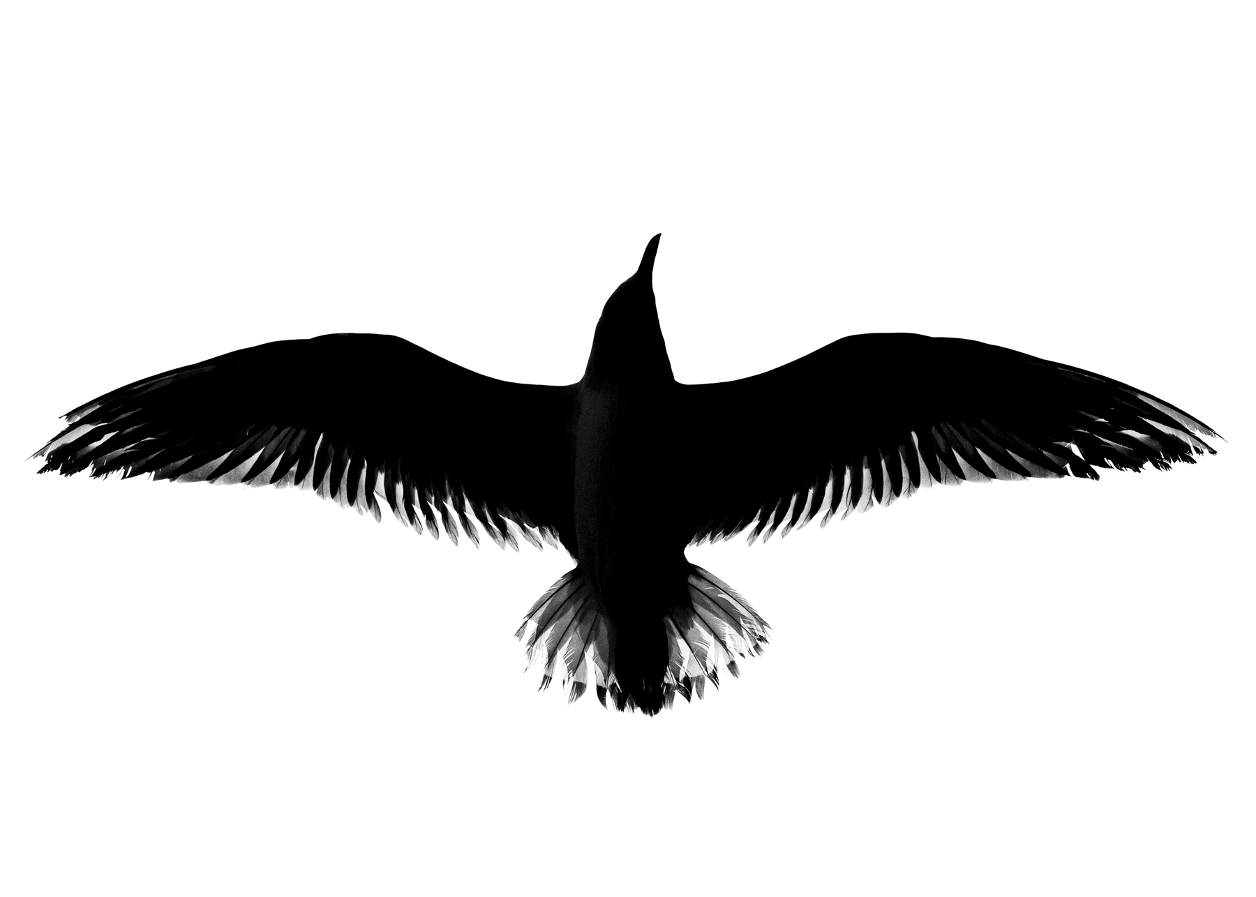 Black Ink Portfolio by Khaldoon Aldway