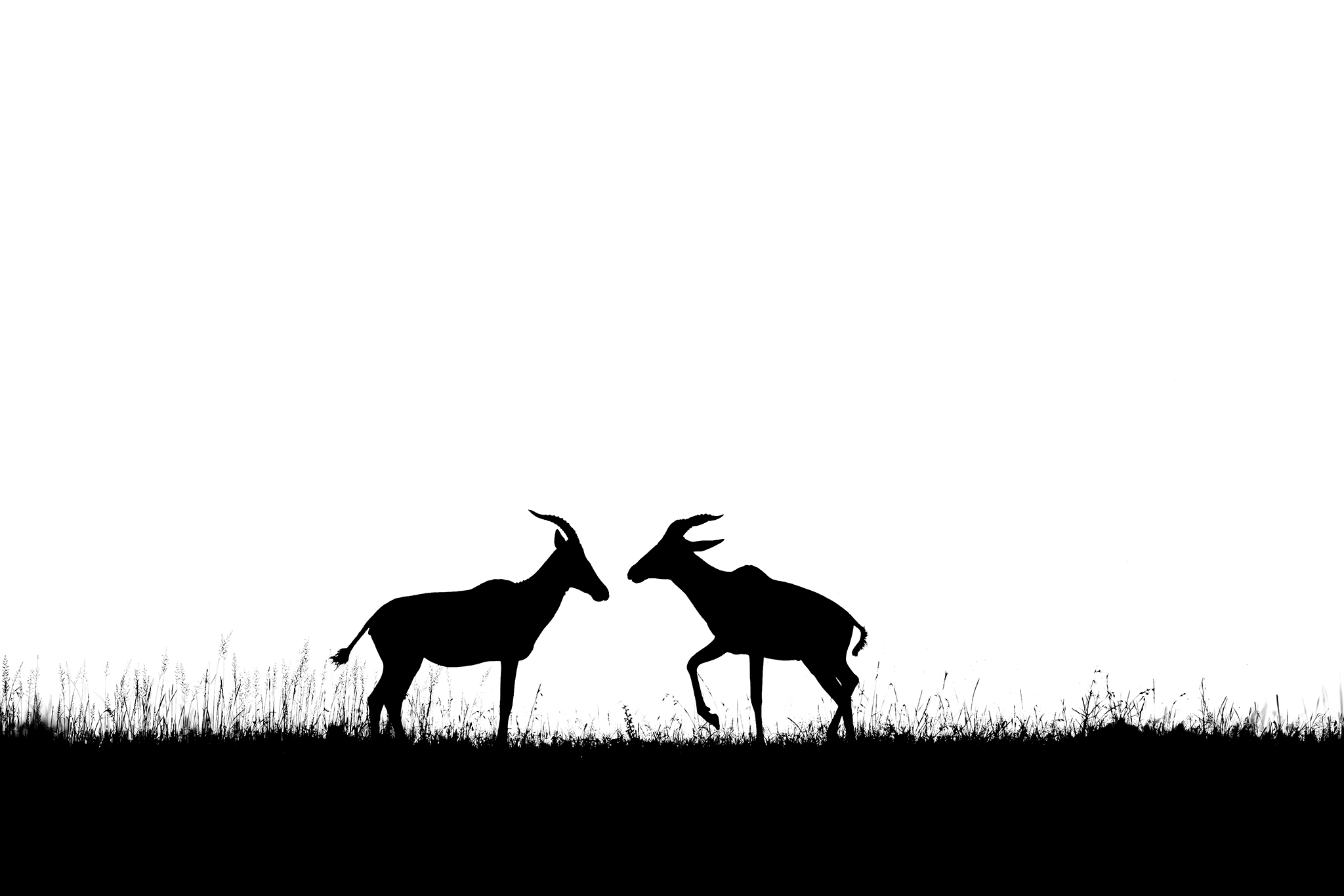 Black Ink Portfolio by Khaldoon Aldway