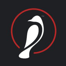 KingBirder