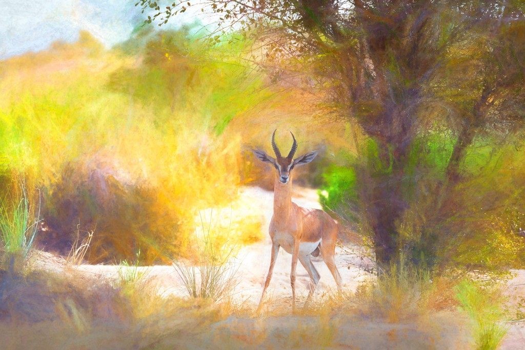 When a Photograph Wants to Be a Painting journal article