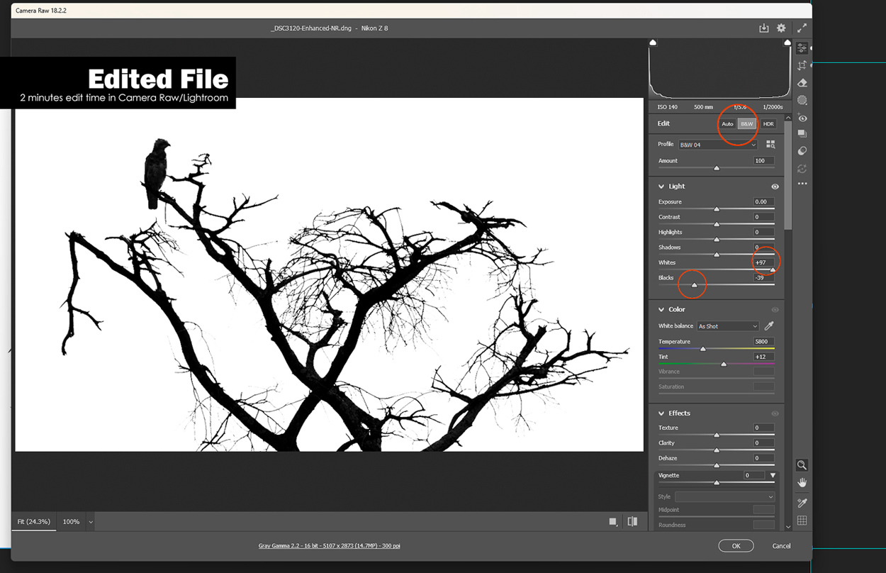 Before and after editing example for silhouette wildlife photography