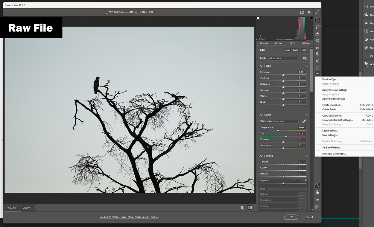 Before and after editing example for silhouette wildlife photography