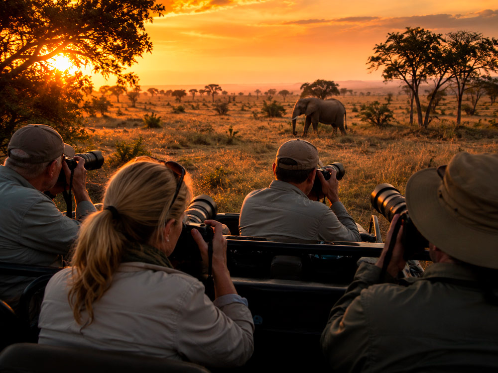 Wildlife photographer sharing settings and field advice with friends on a group safari trip