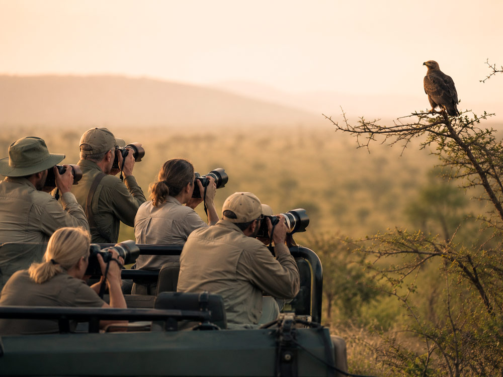 Minimal wildlife photograph with negative space showing personal visual style and restraint