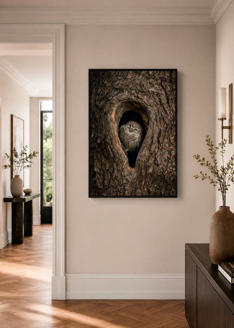 Fine art wildlife wall art print by Khaldoon Aldway