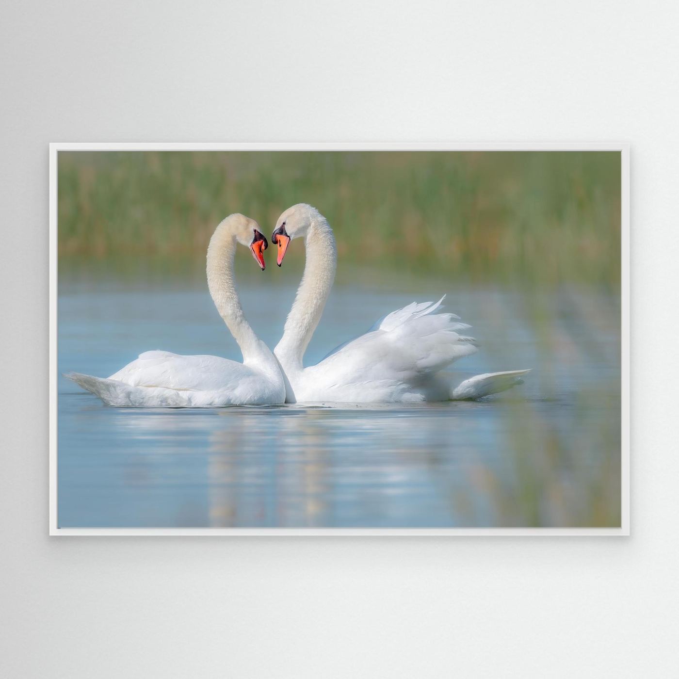 Fine art wildlife print mockup preview 03