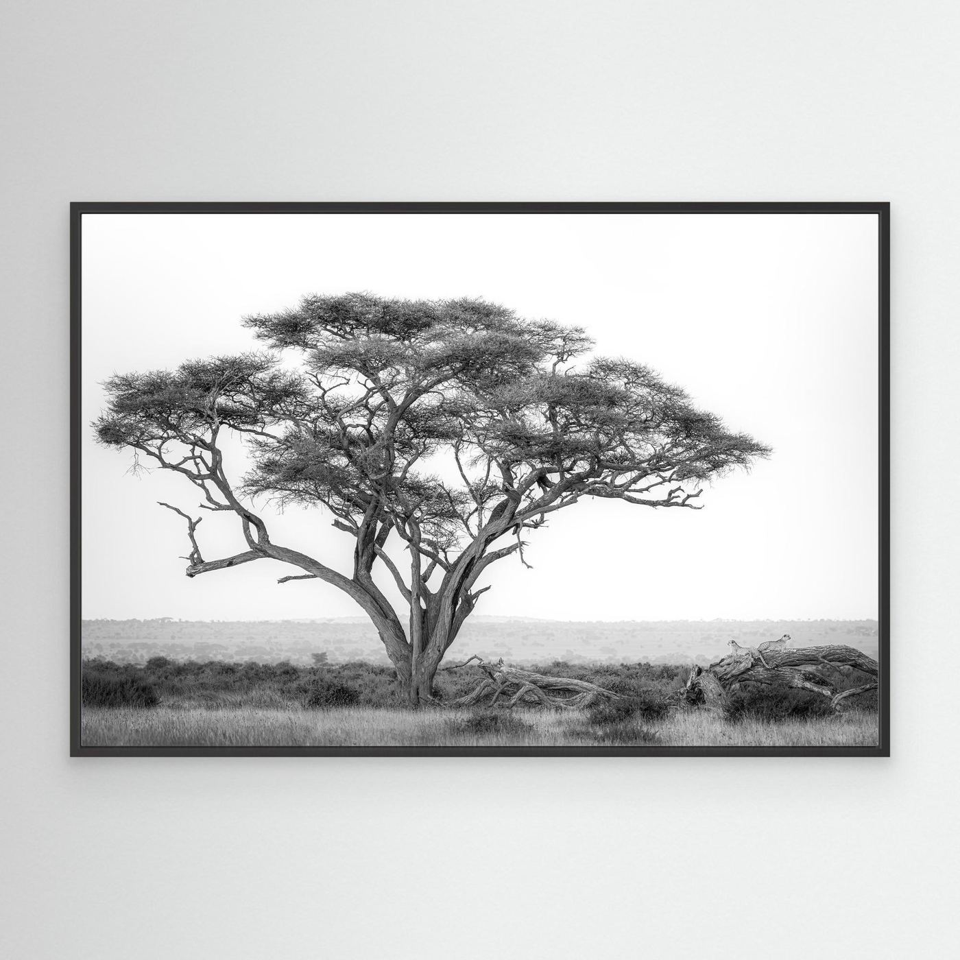 Fine art wildlife print mockup preview 05