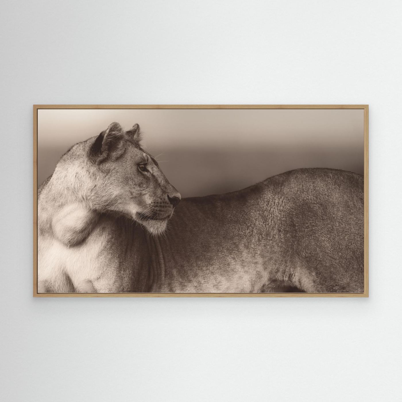 Fine art wildlife print mockup preview 08