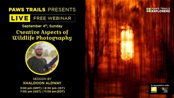 Creative Aspects of Wildlife Photography webinar thumbnail