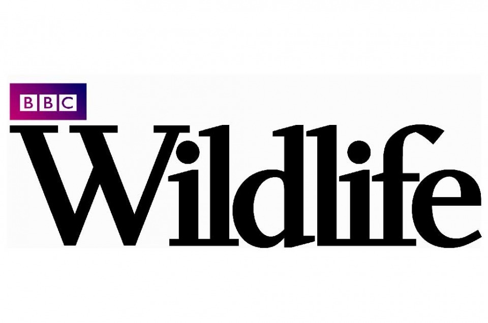 BBC Wildlife Magazine double page spread publication thumbnail