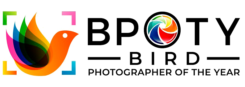 Bird Photographer of the Year Collection 9 publication thumbnail